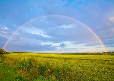 The Rainbow is God’s Symbol of Forgiveness, Not Acceptance
