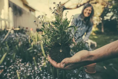 Gardening and God: Nurturing Plants Has Been a Spiritual Practice from the Beginning