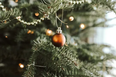 The Christmas loneliness epidemic