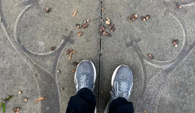 A Different Kind of Pilgrim