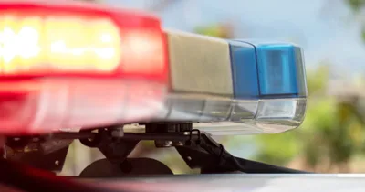 Parents charged after 3-year-old brings loaded gun to Detroit-area daycare