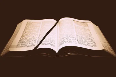 Catholic Bible in a year podcast with Father Mike Schmitz tops the charts