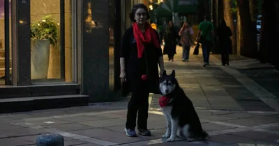 Iran Bans Dog Walking in over 20 Cities
