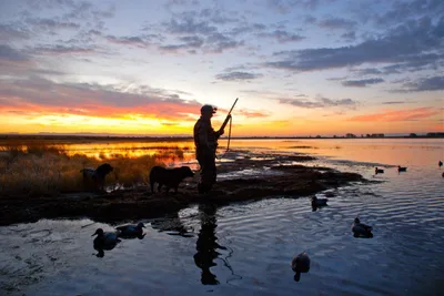 Can Christians enjoy hunting?