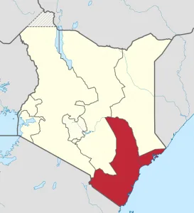 Traumatized Widows in Kenya Face Ordeal of How to Press On - Morningstar News