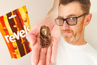 Scottish Man Believes His Piece of Chocolate Resembles a 'Wee Baby Jesus' - RELEVANT