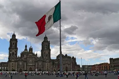 'Rain' of birds in Mexico not an apocalyptic sign, priest notes