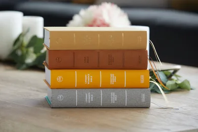Lifeway launches CSB Lifeway Women’s Bible | Baptist Press