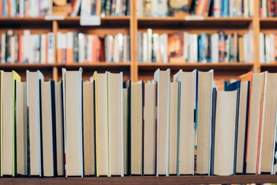 Parents beware: School and public libraries are grooming our kids