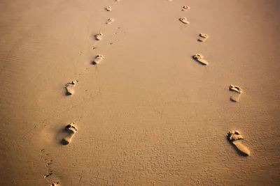 The dangers of working for God but not walking with Him