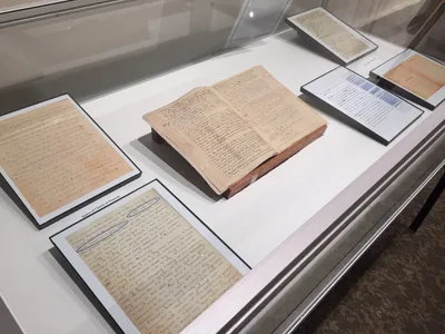 Research shows original congregations of Sisters of Charity owned slaves