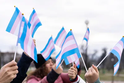 Federal judge dismisses parents' lawsuit claiming school encouraged kids to identify as opposite sex