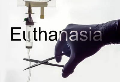 Revealing a Belgian culture of death