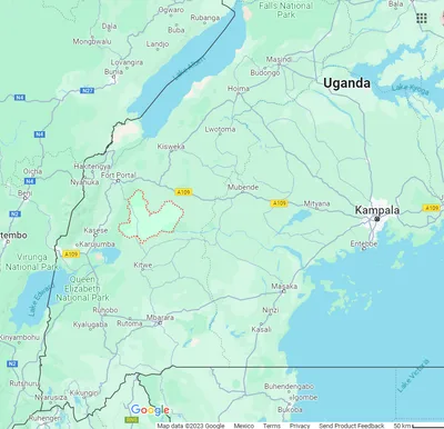 Islamic Terrorists Kill 10 Christians in Western Uganda, Sources Say
