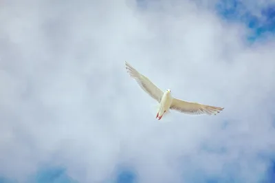 How to know the truth about the Trinity