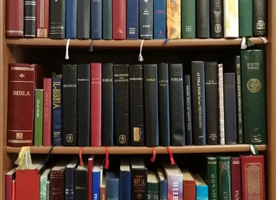 USC researchers use AI to help translate Bible into very rare languages | Baptist Press