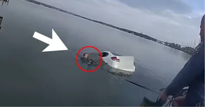 Video Captures Quick-Acting Cops Jumping in Frigid Waters to 'Save a Life' as Woman’s Car Starts Sinking
