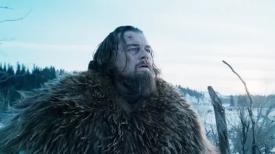 Six Percent of Americans Think They Could Beat a Grizzly Bear in Hand-to-Hand Combat - RELEVANT
