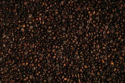 Your Favorite Coffee Chain is Lying to You (And Farmers Are Paying the Price) - RELEVANT