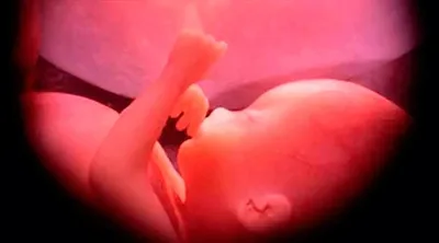 With New Law, It’s Easier Than Ever to Get a Late-Term Abortion in Maine