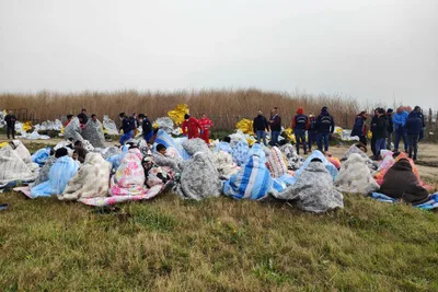 Migrant Boat Breaks Up Off Italian Coast, Killing Nearly 60