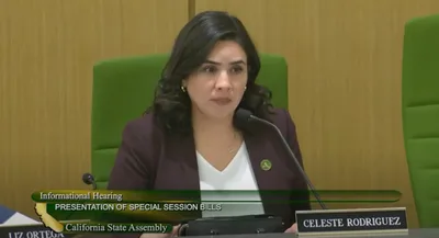 Calif. Lawmaker Blames 'misinformation' for Backlash over Bill News Outlet Derides as 'Christian-right panic'