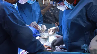 Violating God's Design? Baptist Leader Warns of 'Ominous' Biblical and Ethical Concerns Over Pig Heart Transplant