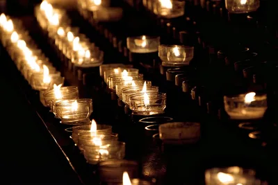 Educational video platform aims to share Catholic teaching on controversial issues
