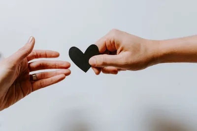 Don't follow your heart: Here's why