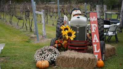 Harvest Mass is a time to thank God, ask for mercy, says Texas bishop