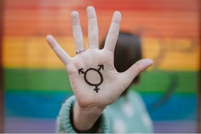 Christian response to transgender conflicts needs charity and clarity, Arlington diocese says