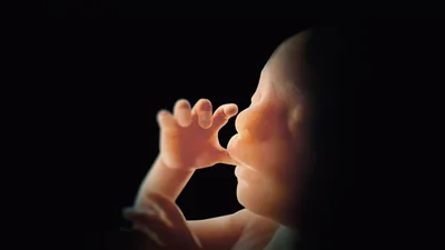 Georgia Residents Can Now Claim an Unborn Child as a Dependent When Filing State Taxes
