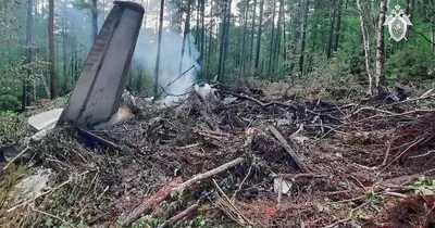 Dozens perish as Russian passenger plane crashes, official says