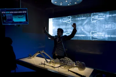 New Museum of the Bible exhibit features Shroud of Turin, 'the first viral image'