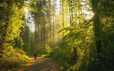 Spiritual formation manifesto: Practical ways to follow Jesus