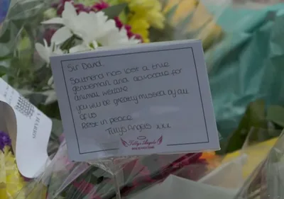 Sir David Amess remembered as 'man of peace' by heartbroken family