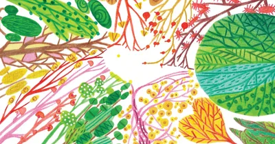 American Christianity Is a Flourishing Forest