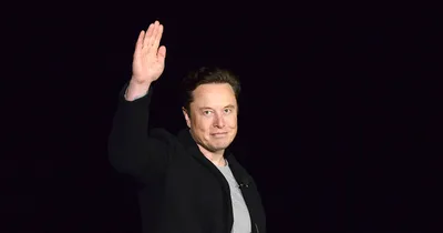 Twitter Users Vote for Musk to Step Down