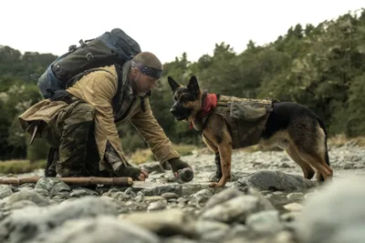 ‘Heart of the Beast’ director David Ayer says faith shaped Brad Pitt survival drama