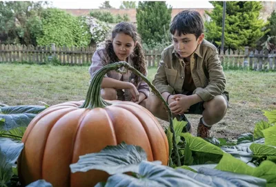 5 faith-filled, family-friendly movies streaming this fall