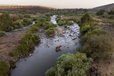 Mideast’s Jordan River: Rich in Holiness, Poor in Water