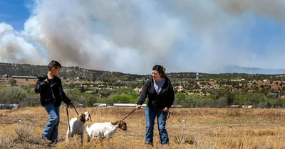 Biden declares New Mexico wildfire an emergency
