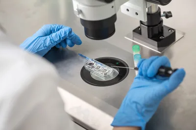 IVF Regulations a ‘wild, wild west’ Despite Trump Executive Order | Baptist Press