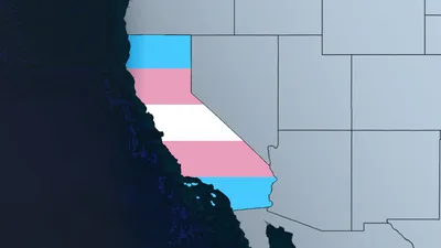 Puberty Blockers, Hormones and Surgery Without Parental Consent? State Debates Trans Sanctuary Bill