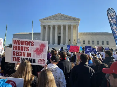 Must Roe go? Yes, say Alito's leaked draft and other critics of abortion precedent