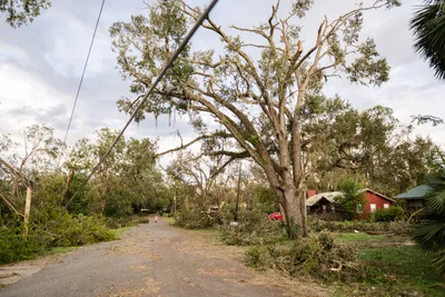 Hundreds Sign Up to Help Hurricane Idalia Victims: 'God always brings us people'