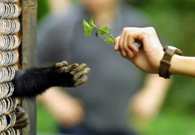 Darwinizing the universe: A theory that explains everything explains nothing