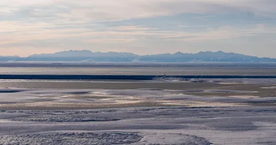 Over 1M acres of Alaska preserve open for oil, gas drilling