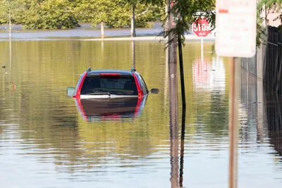 Study: People Under 40 Should Expect an 'Unprecedented' Future of Climate Disasters - RELEVANT