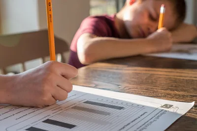 Homeschool enrollment rose 30% amid decline in public school enrollment amid pandemic: study
